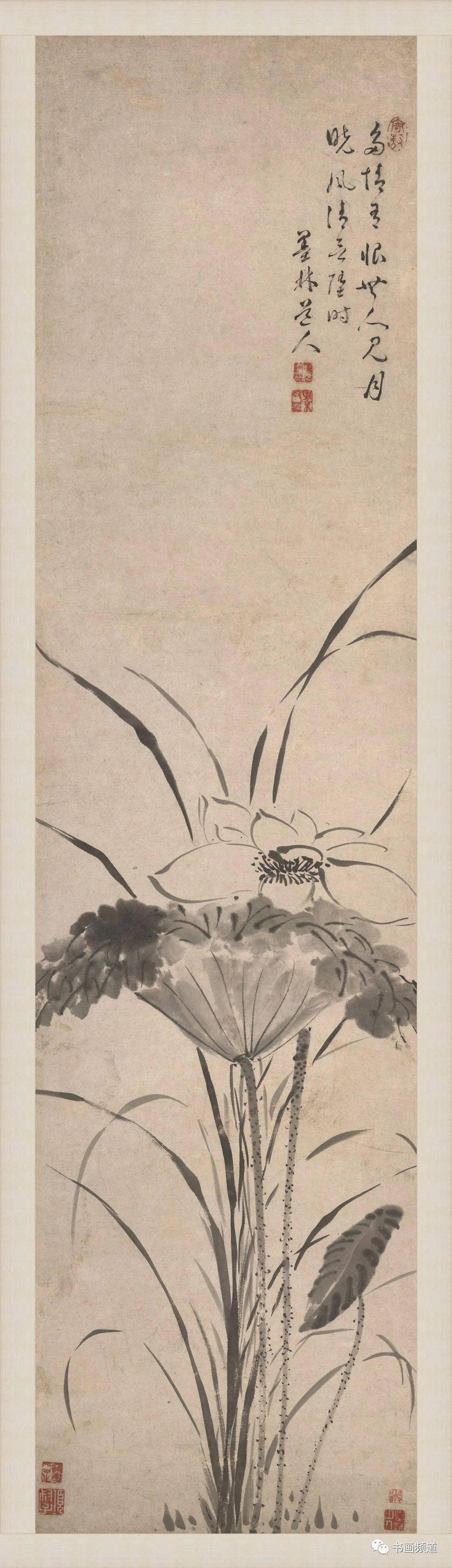 今日立夏|小荷才露尖尖角 赏历代名家画荷_荷花_墨荷_张大千