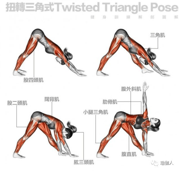 瑜伽3阶21个体式,让你明明白白练的是哪块肌肉!_动作_训练_双手