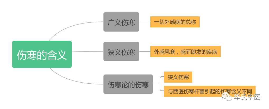 重读伤寒论思维导图整理知识点