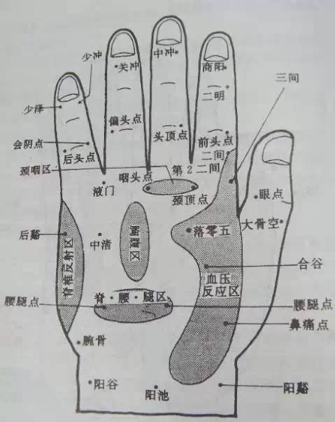 18.肝点:位于掌面,无名指第一,二节指骨间.主治肝胆痛.17.