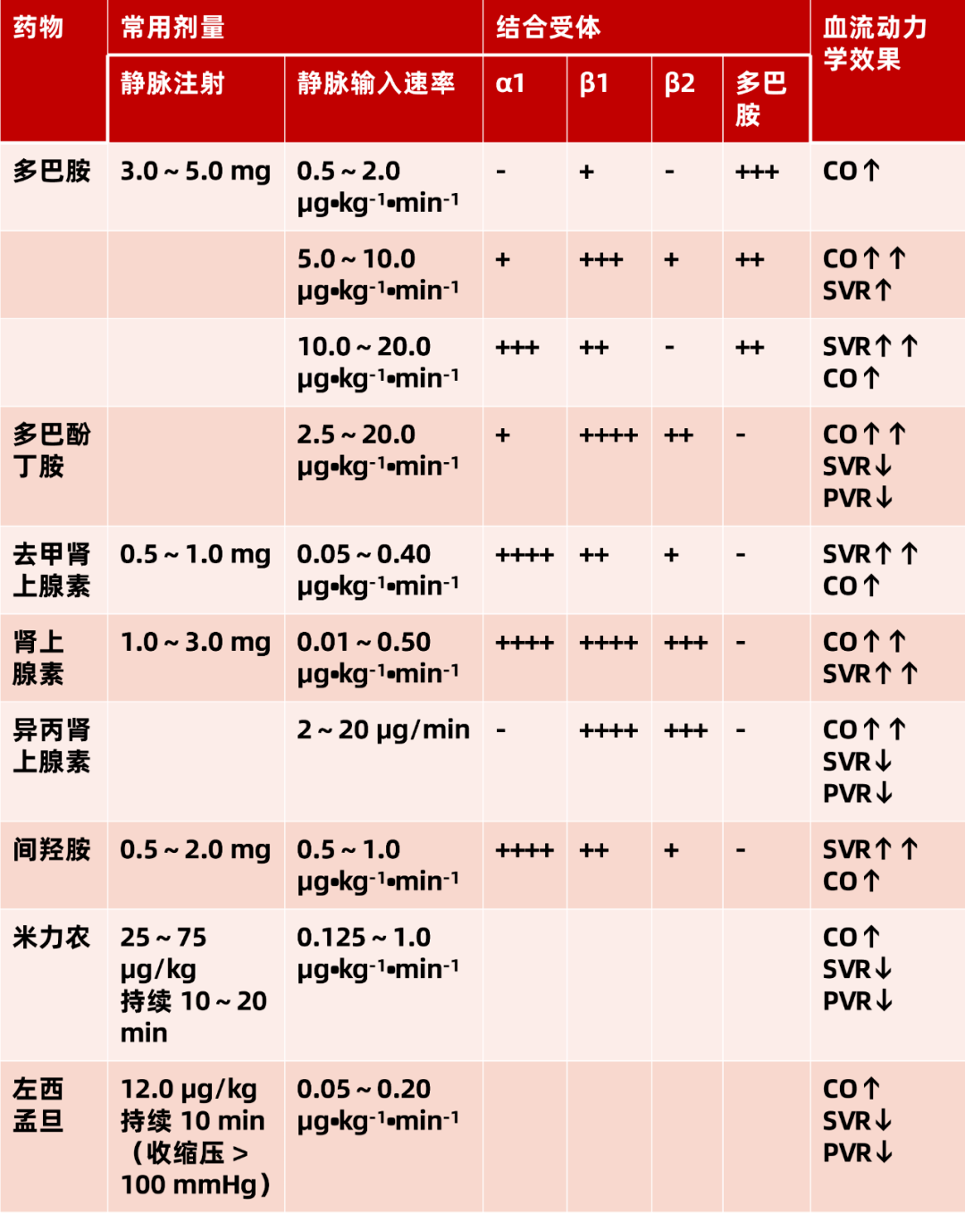 患者,初级血压支持是维持血流动力学稳定,保证脏器有效灌注的根本