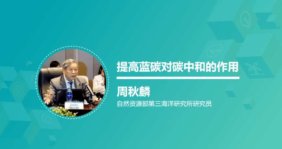 自然资源部海洋三所研究员周秋麟:提高蓝碳对碳中和的