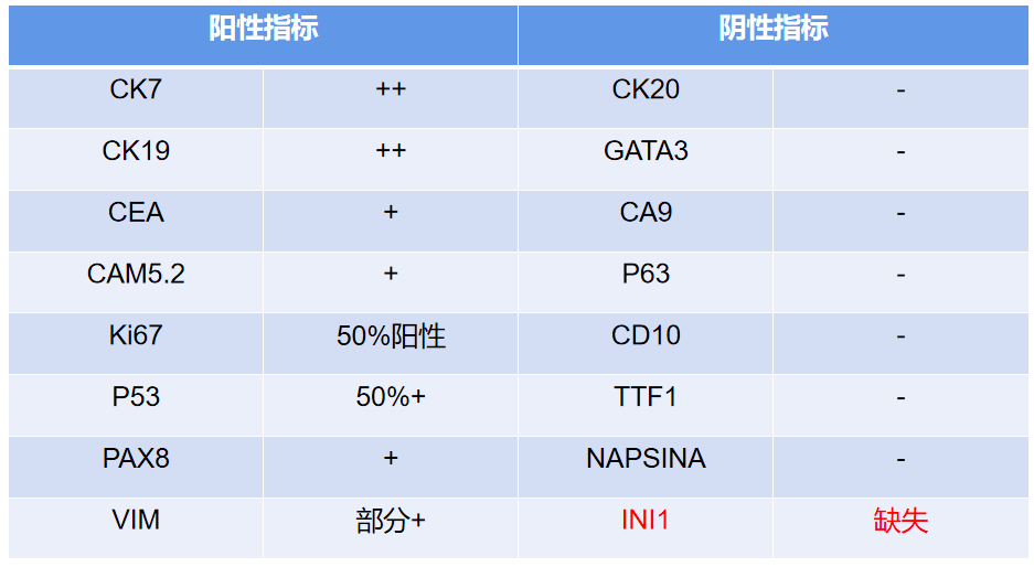 【衡道丨笔记】病例分享 :smarcb1/ini1缺失相关肿瘤_cm_组织_上皮