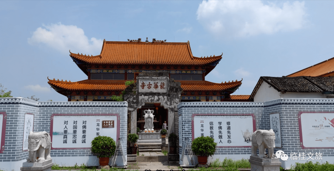 自驾游一路风景美翻了临桂状元祈福节赏稻田艺术奇观游状元故里