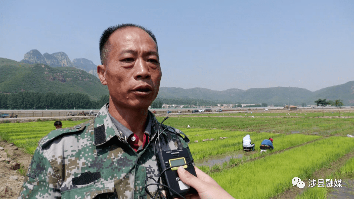 固新镇原曲村 秦国生"向农业农村局免费提供秧苗表示感谢,解决了我们