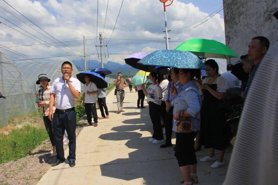 忻城县人大代表履职能力提升班学员到大乐镇大棚果蔬