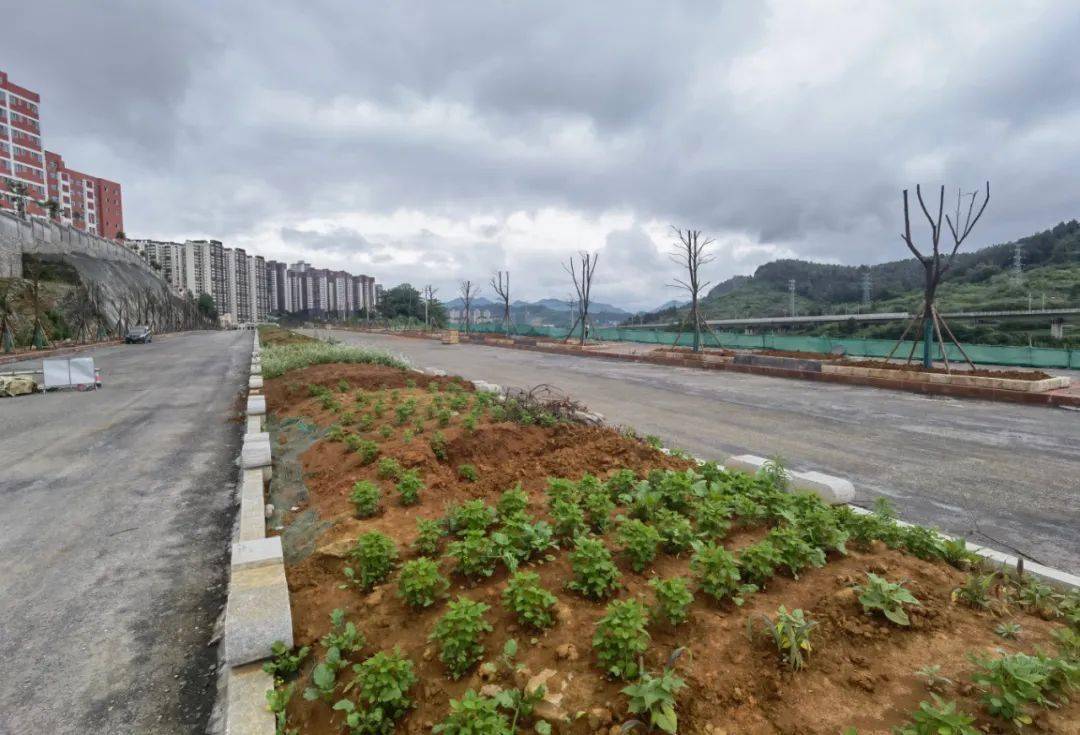 连接毕节两个新区这条路预计7月初建成通车