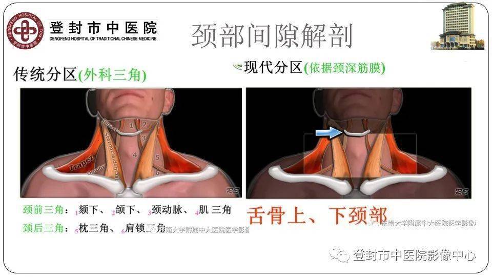 颈部间隙解剖及先天性囊性病变影像诊断_检查_丁伟源_平台