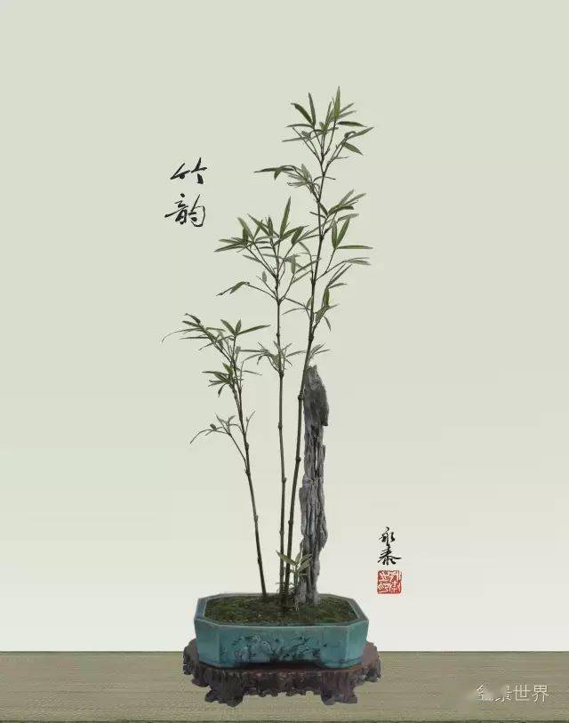 郑永泰大师教你做竹子盆景