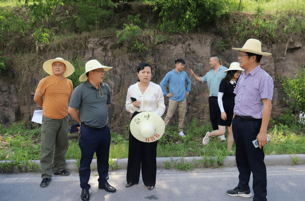 副市长单玲琳专题调研卫健系统项目建设