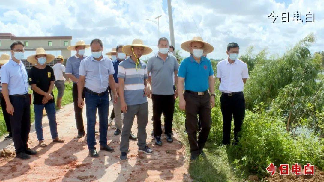 7月10日,电白区委书记谭剑锋带领有关人员到小良镇,坡心镇督导检查