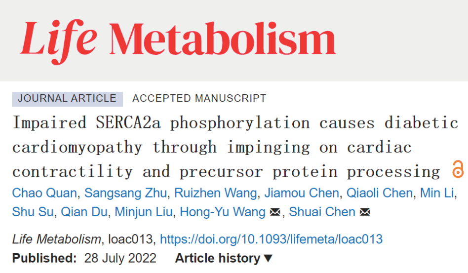 在life metabolism上在线发表题为impaired serca2a phosphorylation