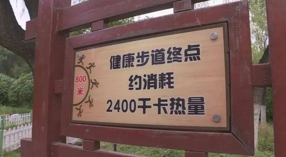 铺装塑胶园道2900平米,在园道起点,休息点和终点处设置距离,卡路里消