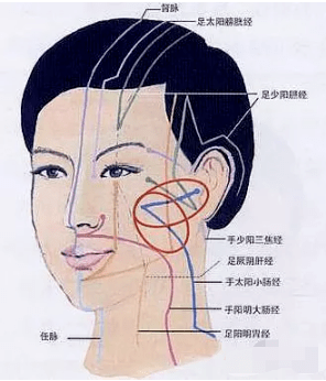 食疗补气血:通过古法食疗方,滋养五脏六腑,改善气滞