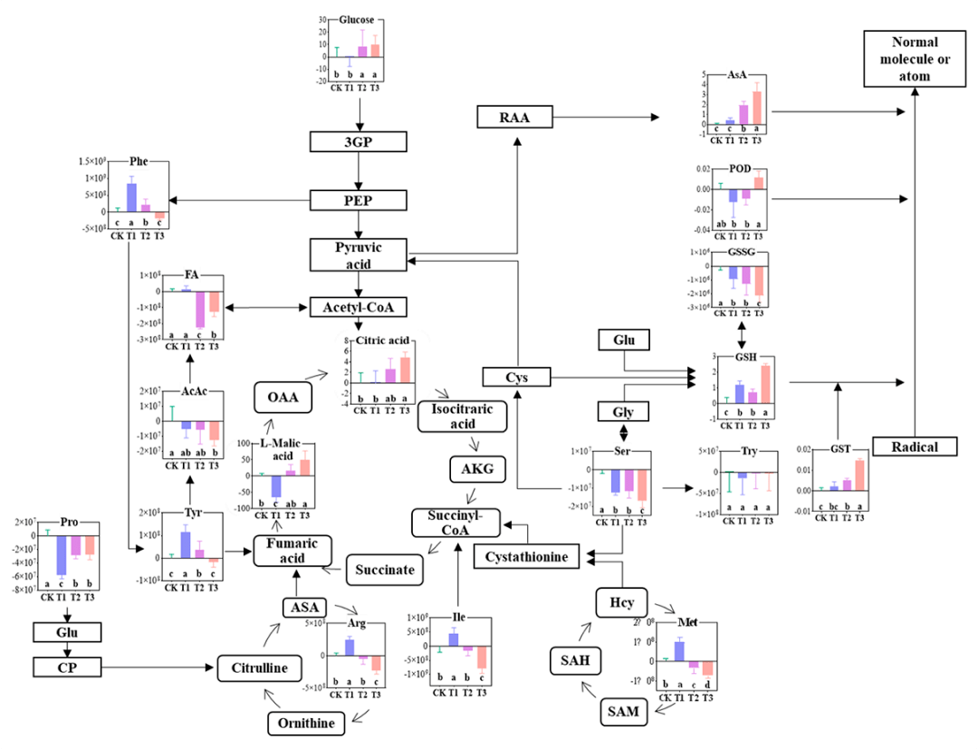 百趣代谢组学资讯:寻求多年,黄瓜品质好的秘密居然在这里_果实_吡蚜