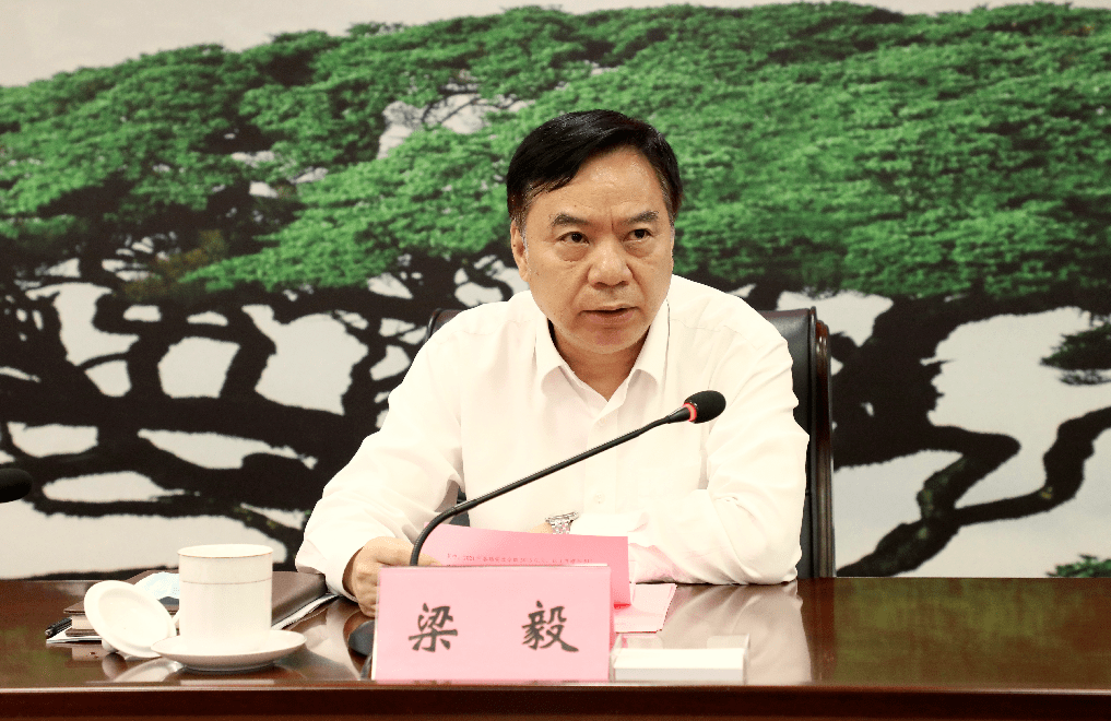 梁毅讲话.