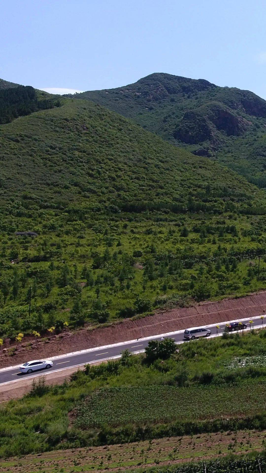 探寻，绿色山林！