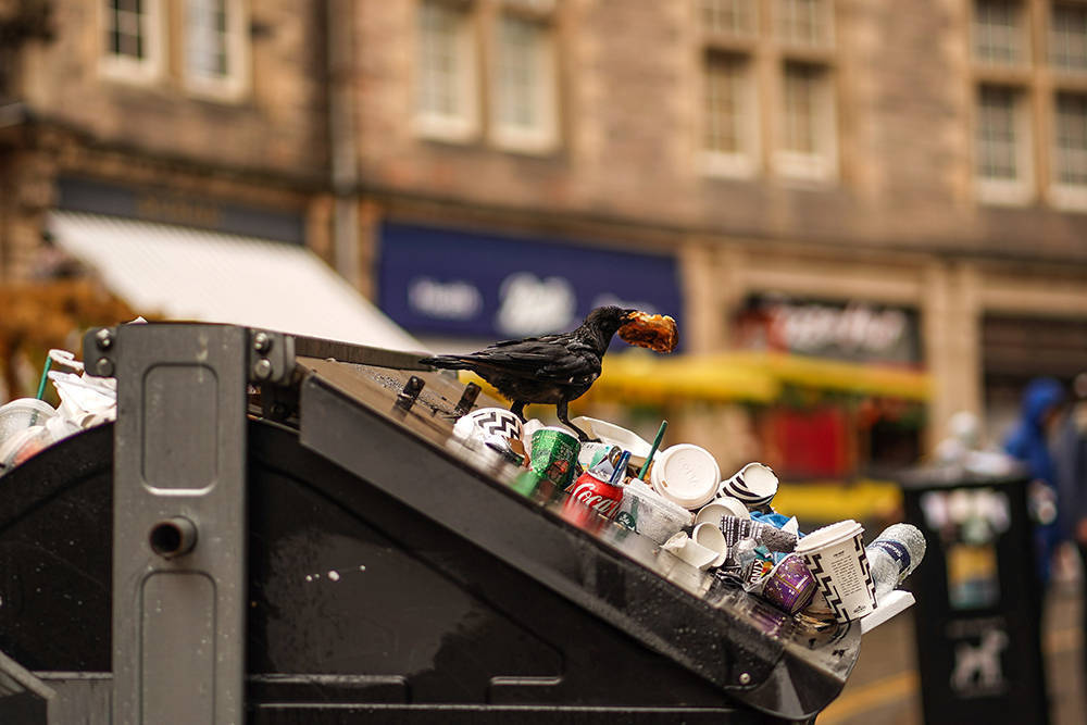 早安·世界｜英国爱丁堡清洁工人罢工，街道垃圾堆积如山