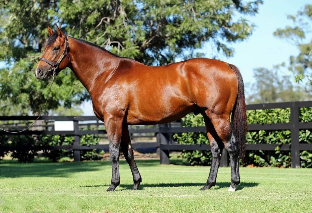 ���̨����ңԶ�ǿա������������֮��