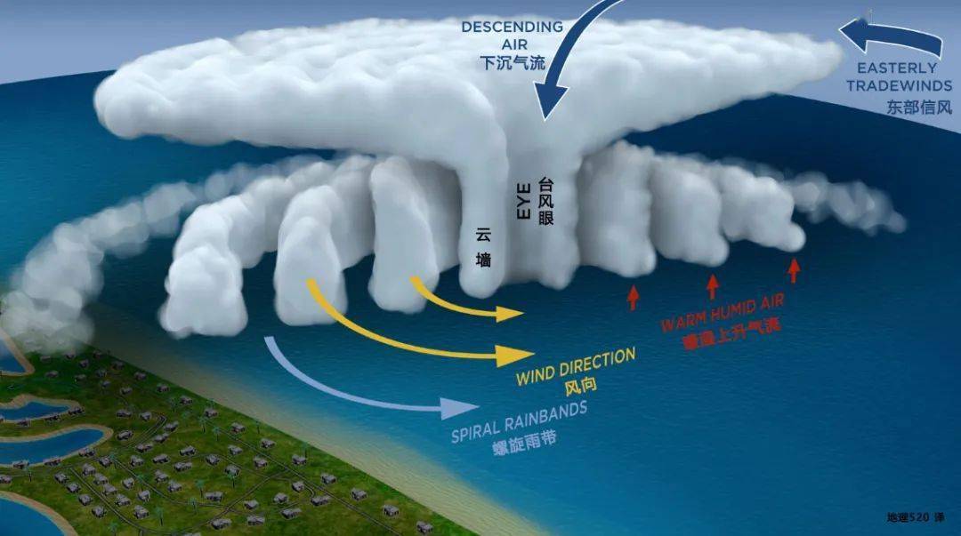 台风眼区,云墙区,螺旋雨带区.