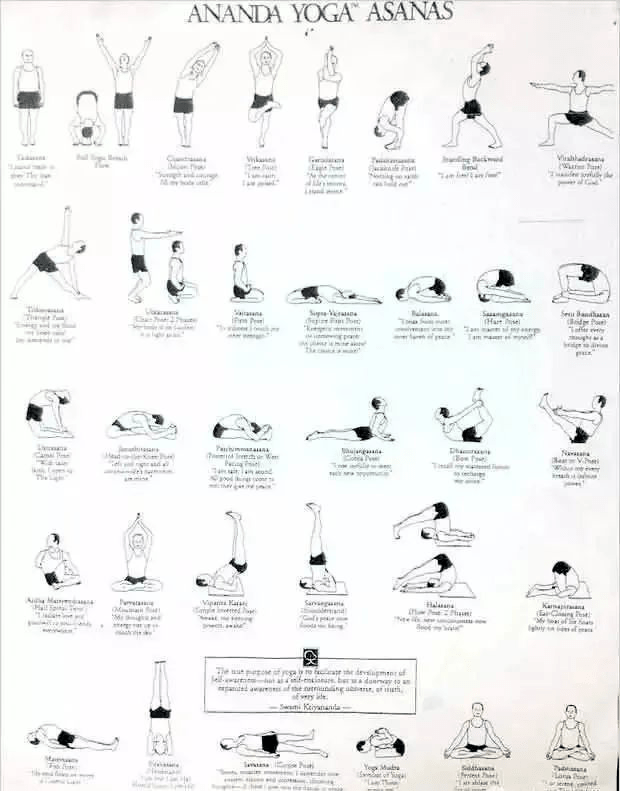 雷竞技RAYBET史上最全 13个经典瑜伽流派体式序列图及简介瑜伽人赶紧收藏！(图2)