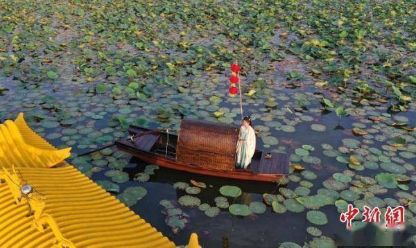 衡水湖畔现江南古风 特色乌篷船亮相“京津冀最美湿地”