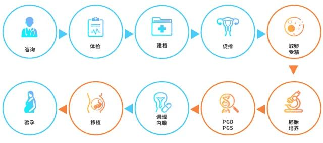 上海三代试管成功率（试管婴儿的详细流程）