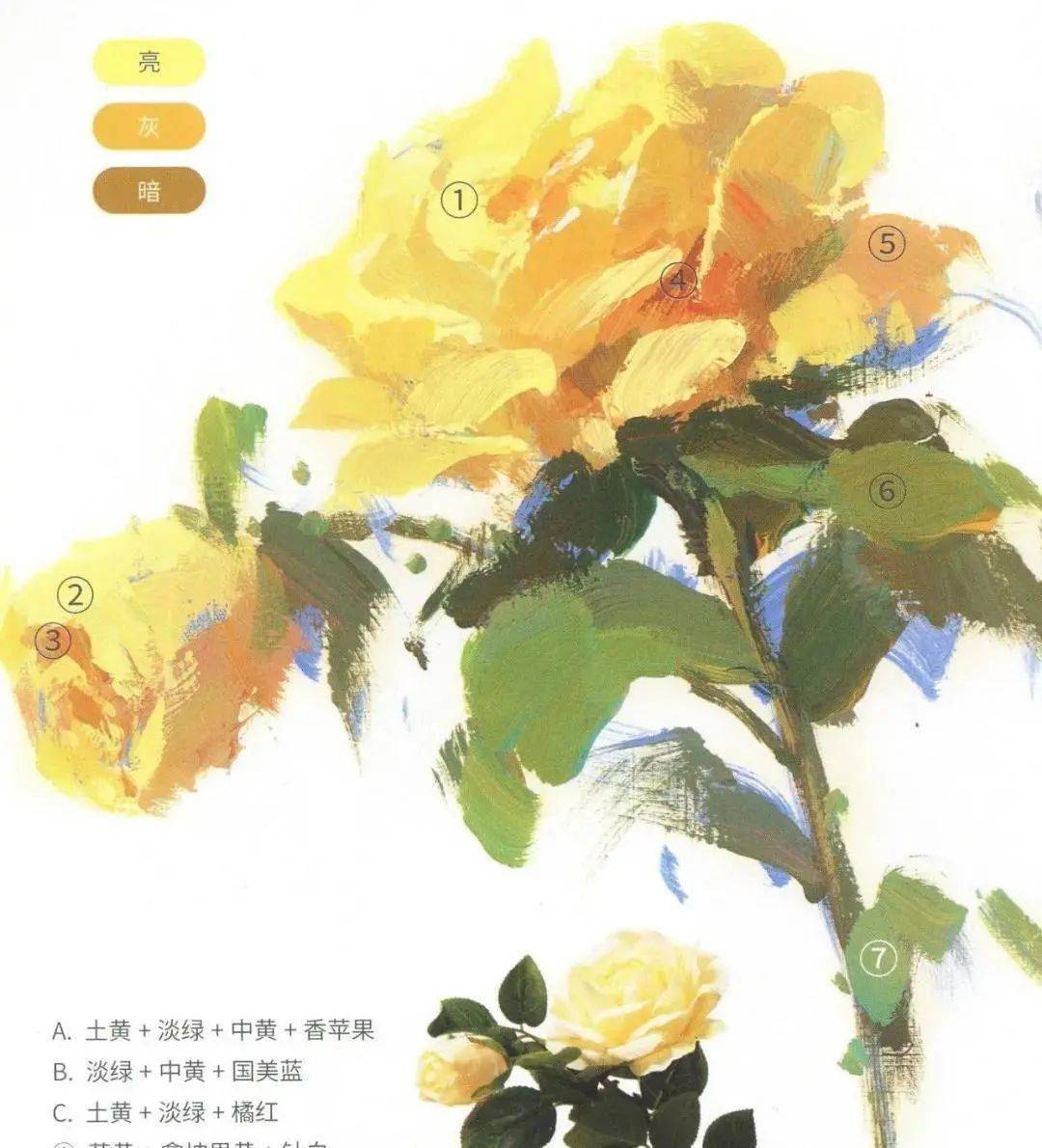 4,为了整个画面的丰富性,可将笔触点到花朵周围丰富花卉构图.