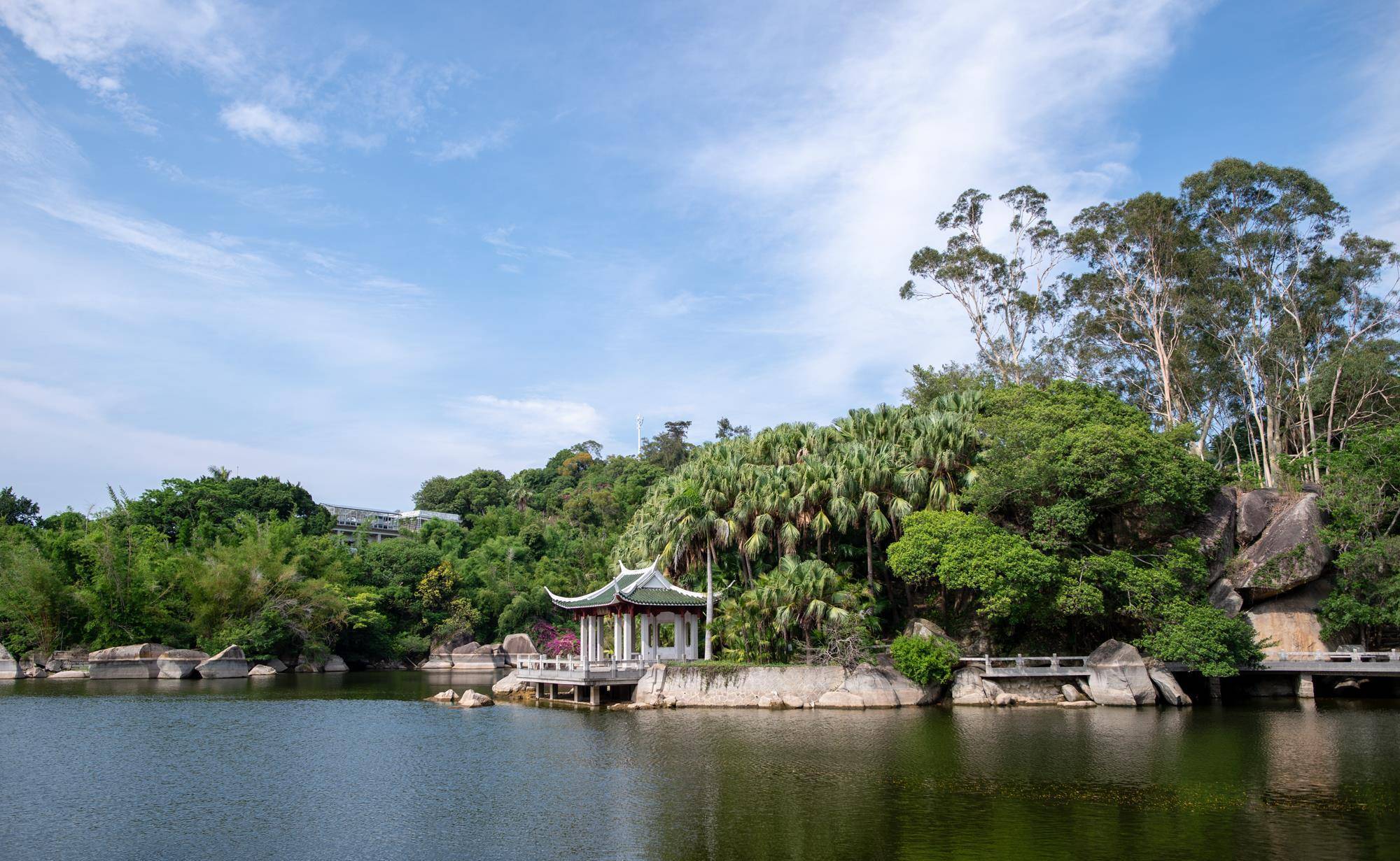 福建第一个植物园，藏有“仙气十足”的雨林世界，如今是网红景点