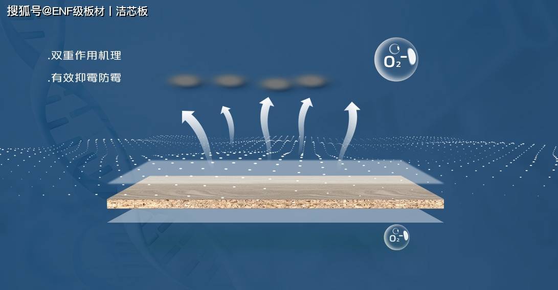 莫尔格林负离子洁芯净醛板丨健康防护n99"双重功效新升级"_空气_甲醛