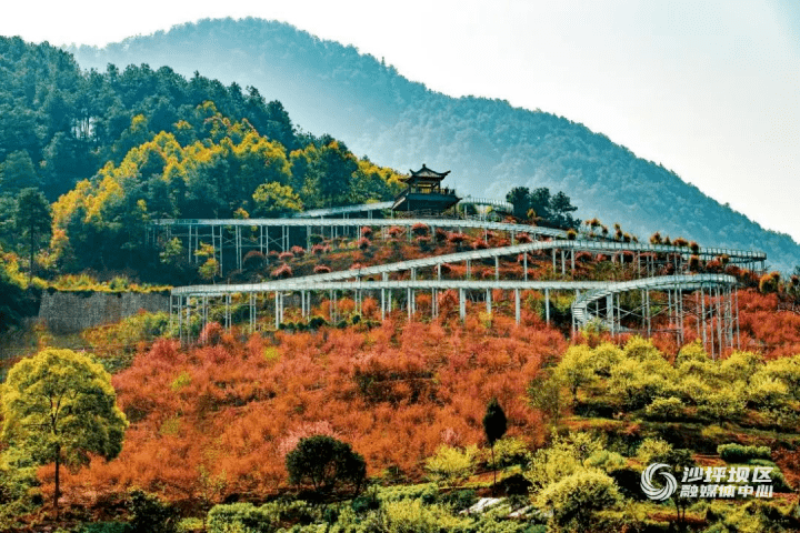 沙坪坝：回龙坝村、歌乐村入选重庆市第三批乡村旅游重点村名录