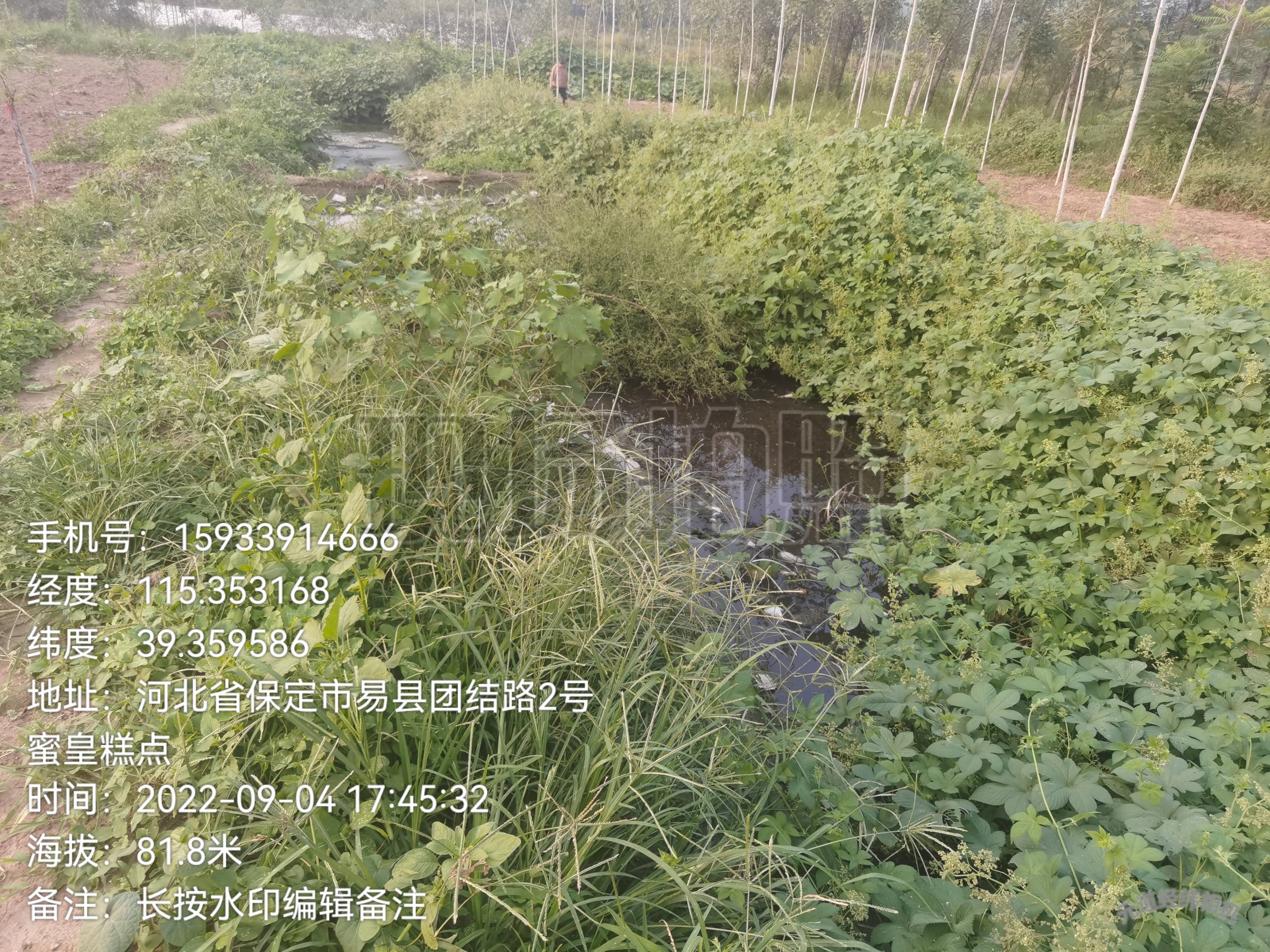 西陵镇美景？？