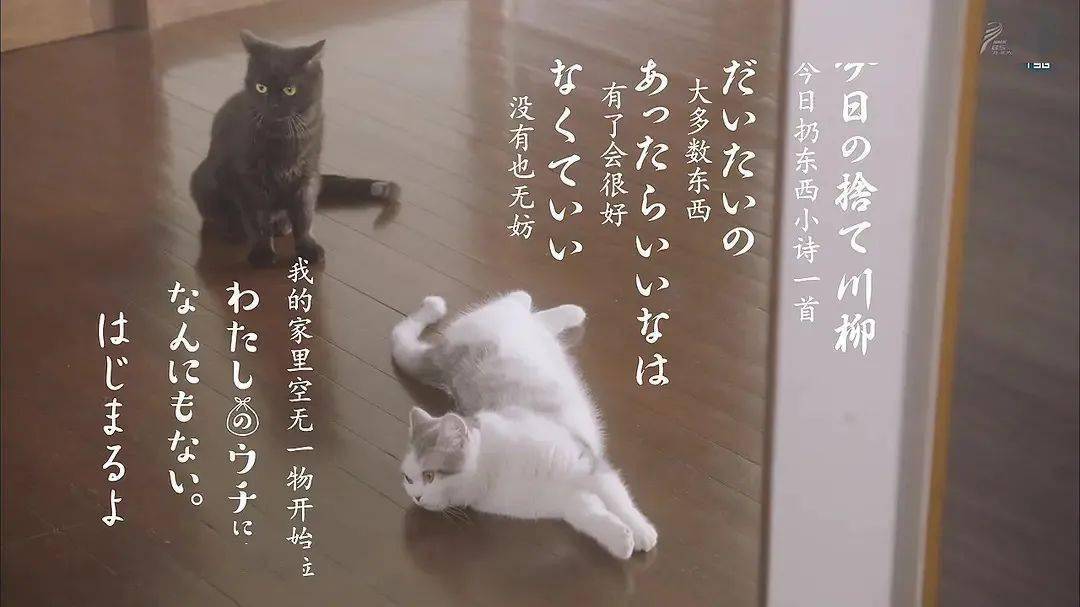 �����ˣ���ʽ�����治�ʺ��й���