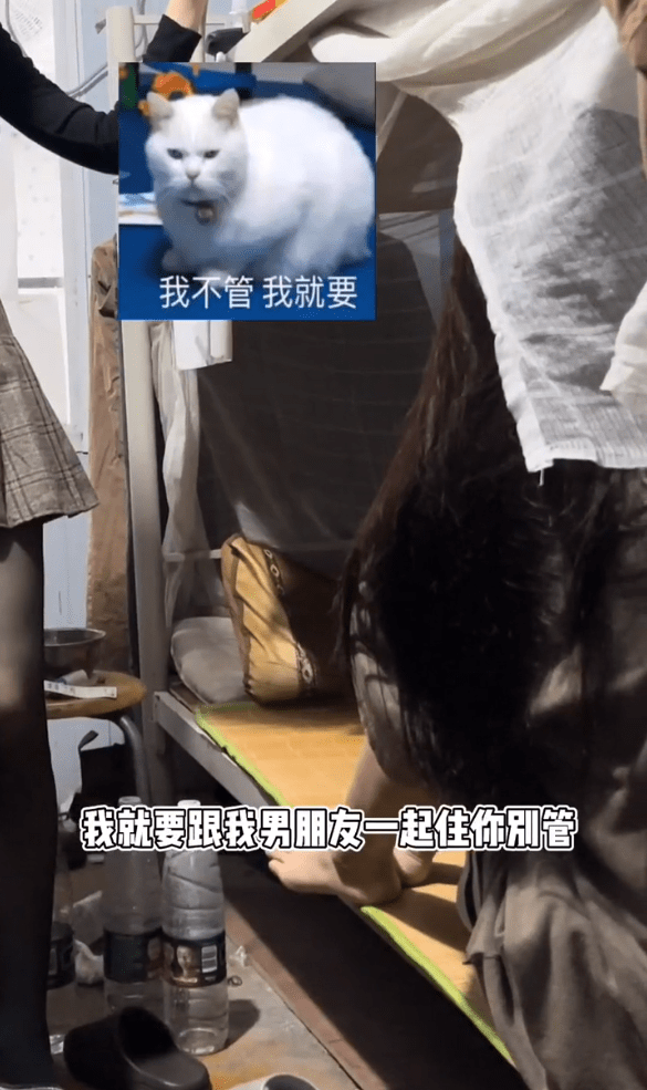 原创19岁女孩私自住进男生宿舍，宿管赶都赶不走，女孩：我要和男友住