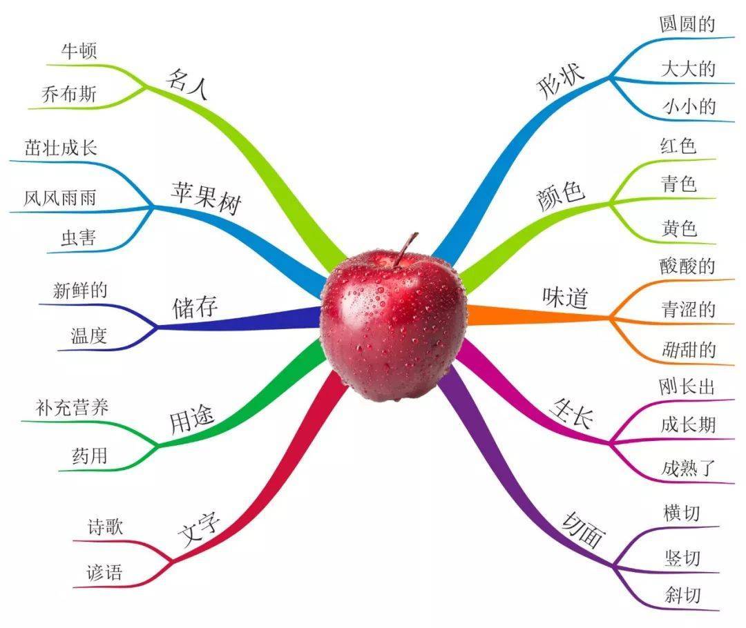 干货：小学1-6年级各类作文写作技巧大全（附范文）  小学作文 第8张