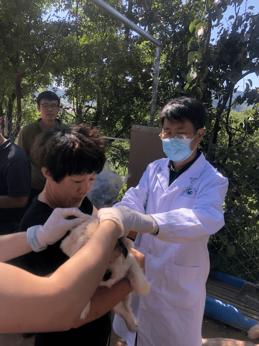 为流浪动物注射狂犬疫