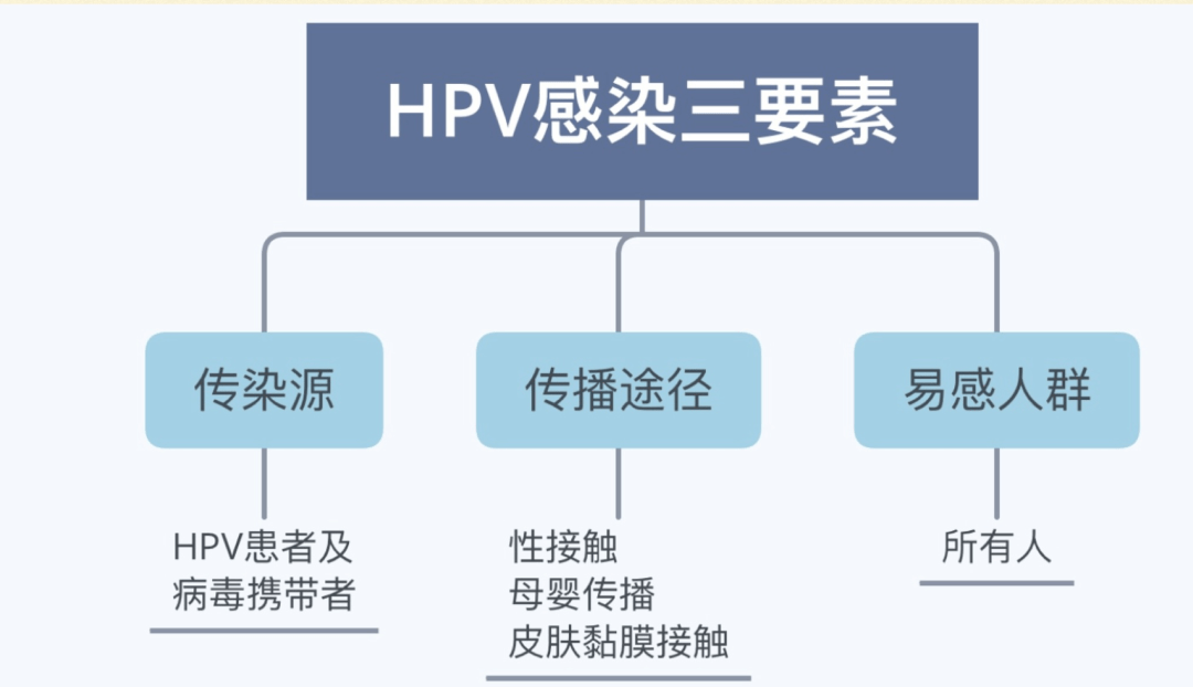 【科普】如何预防HPV感染