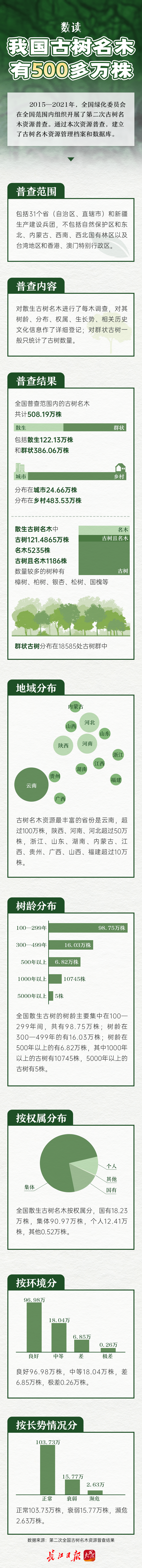 我国古树名木有500多万株，看看哪些树种最长寿