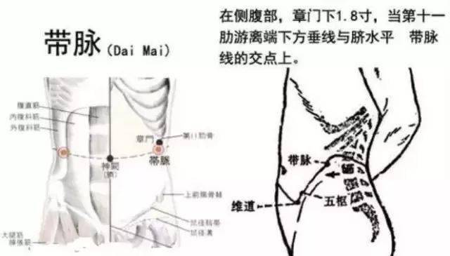 带脉通，毒自清，做健康女人