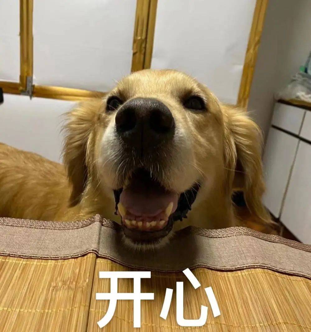 文章配图-5