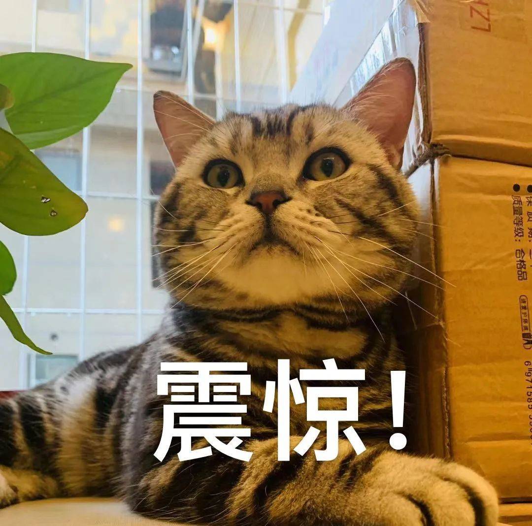 文章配图-3