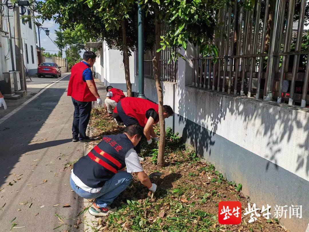 张家港经开区（杨舍镇）：党建引领三治融合，共建乡村幸福生活