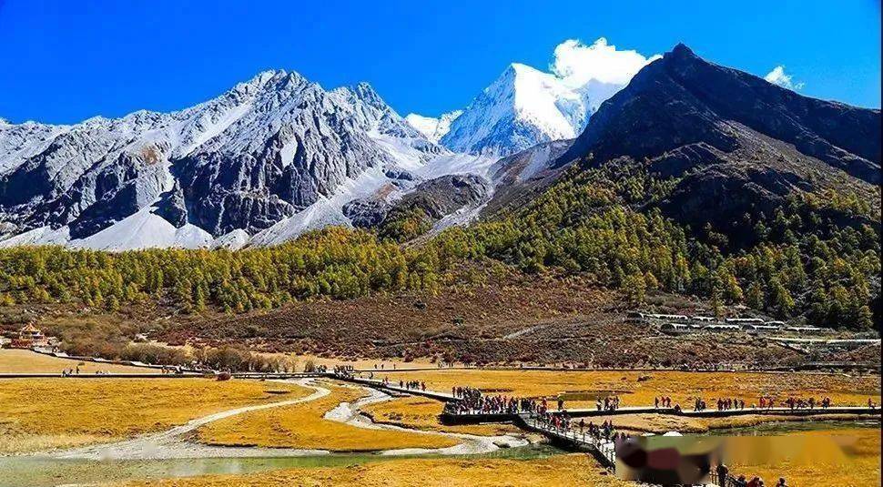 ��ȫ����ļ�����㴨��֮�����Ƕ����뿨�������﹵�������� ...