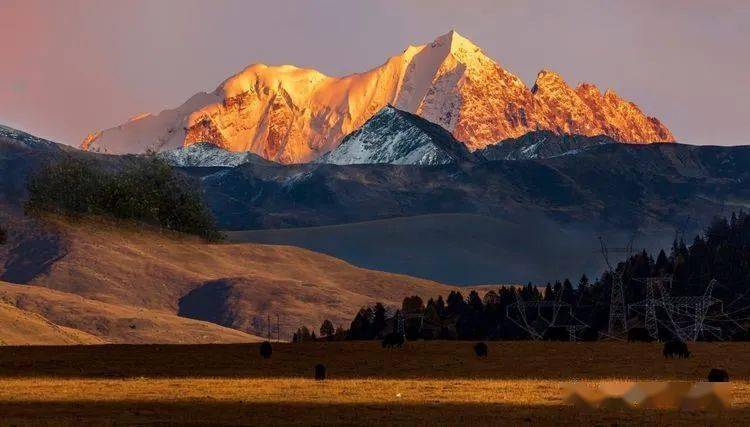 ��ȫ����ļ�����㴨��֮�����Ƕ����뿨�������﹵�������� ...