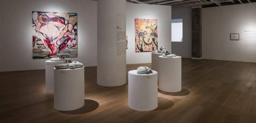 �����죺�����˶Ծ��ӵ����������Ӧ���á��ж���������