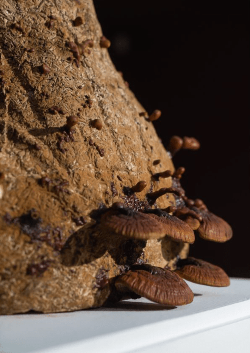 �����죺�����˶Ծ��ӵ����������Ӧ���á��ж���������