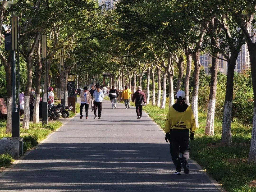 青年发展友好型城市建设 | 宜居菏泽·公园之美