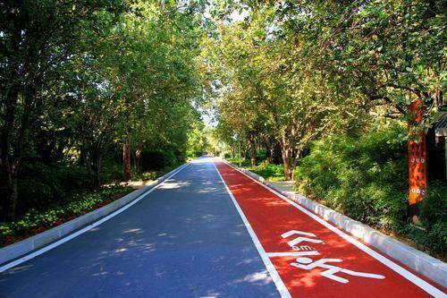 ​全长1500米 彩色步道亮相郑州碧沙岗公园