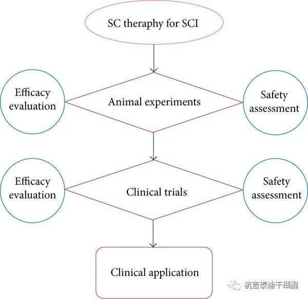 临床sci试验注册
