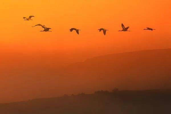 100λŵ������ѧ���޽���100����������